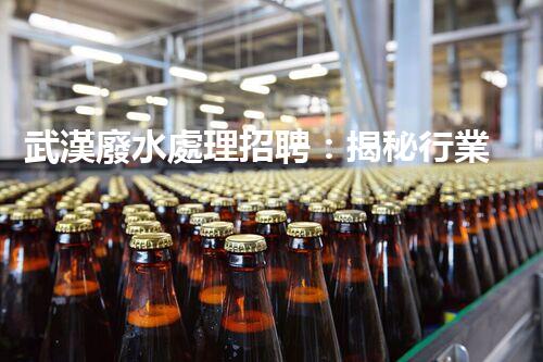 武漢廢水處理招聘：揭秘行業(yè)內(nèi)幕，你不明白的就業(yè)機(jī)會(huì)？